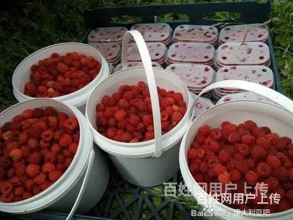 泰州出国打工的真实收入-挪威瑞典德国-月薪3万 - 图片 1